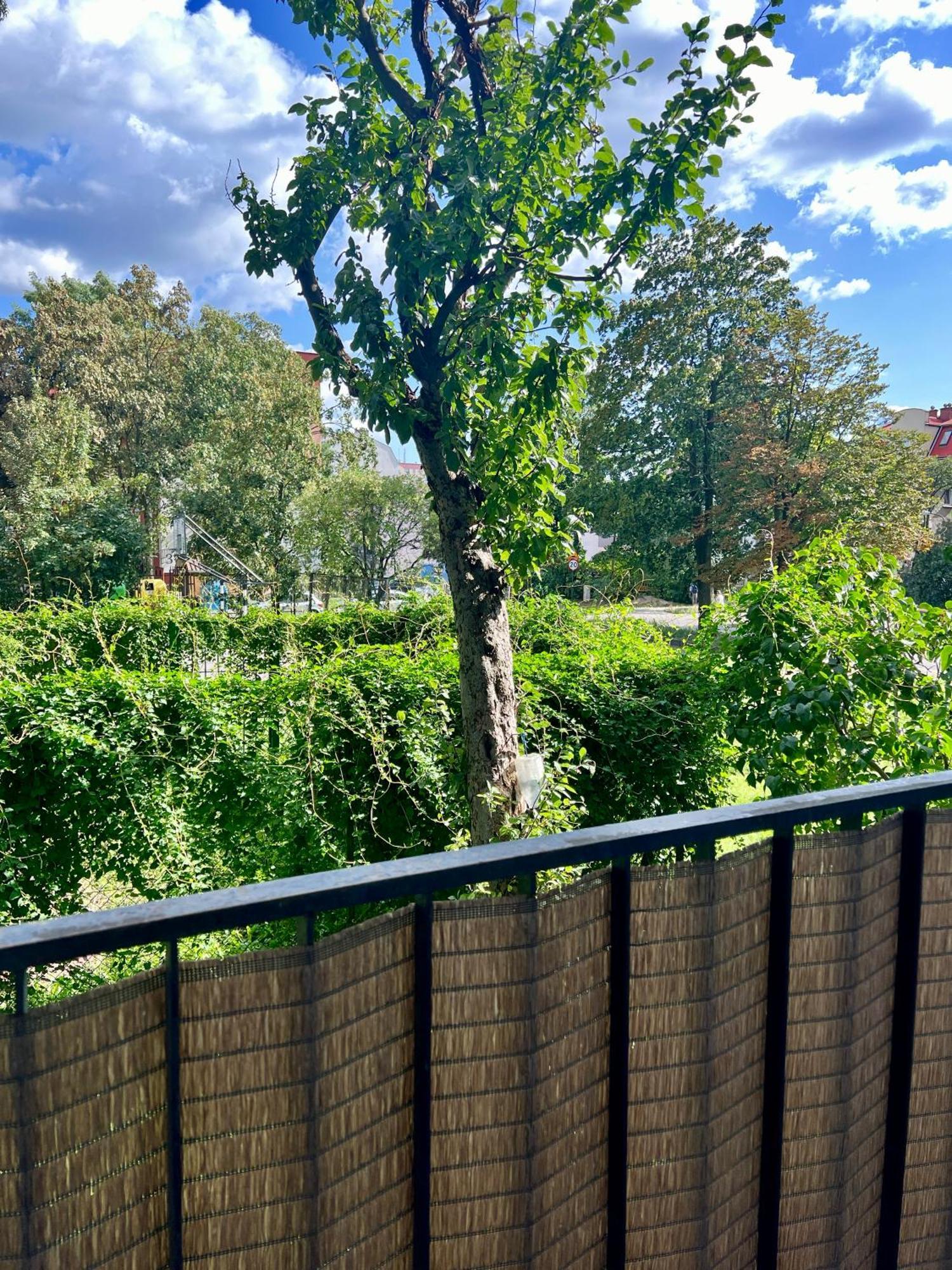 M&S Lux Apartments Kochanowskiego Лодзь Экстерьер фото